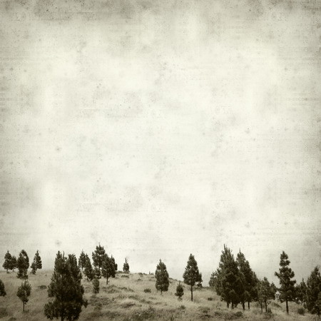 textured old paper background with landscape of Gran Canariaの写真素材