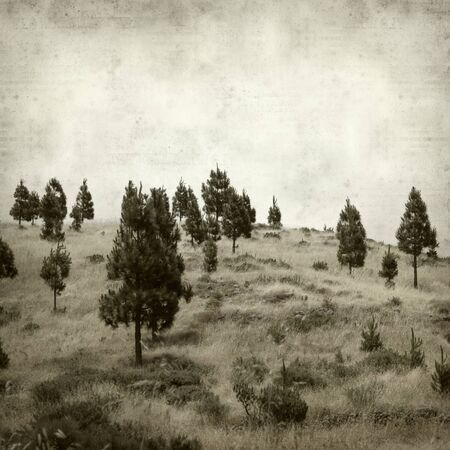 textured old paper background with landscape of Gran Canariaの写真素材