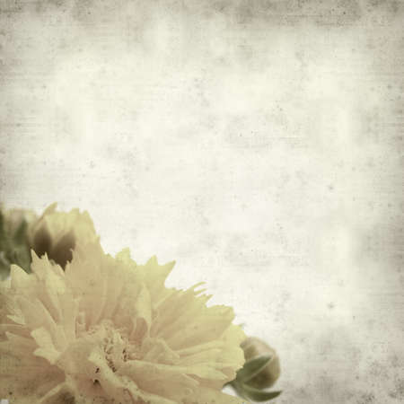 textured old paper background with yellow-orange Coreopsis;の写真素材