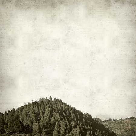 textured old paper background with canarian pine treesの写真素材