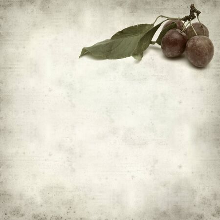 textured old paper background with small red plumsの写真素材