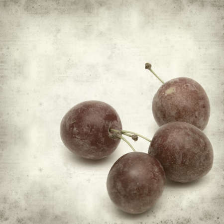 textured old paper background with small red plumsの写真素材