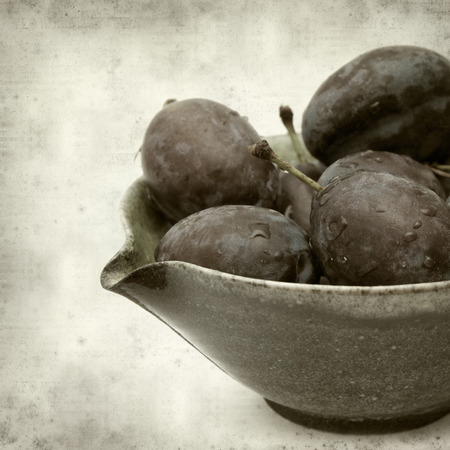 textured old paper background with dark purple plumsの写真素材