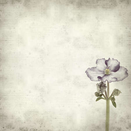 textured old paper background with variegated african violetの写真素材