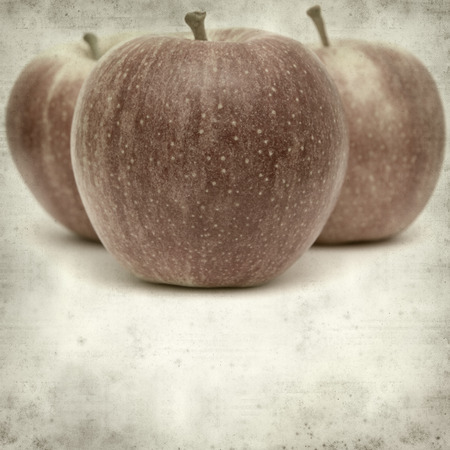 textured old paper background with applesの写真素材