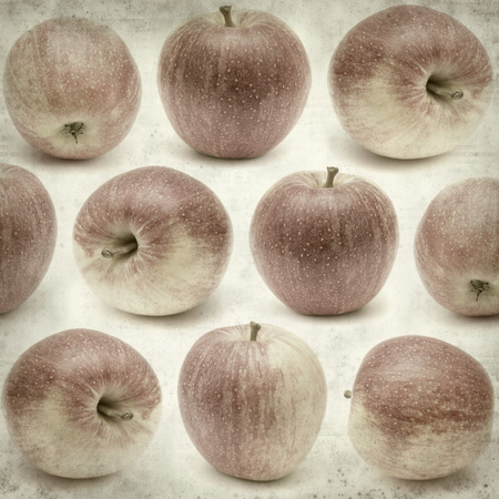 textured old paper background with applesの写真素材