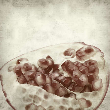 textured old paper background with pomegranateの写真素材