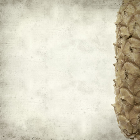 textured old paper background with pineappleの写真素材