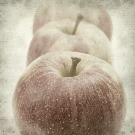 textured old paper background with applesの写真素材