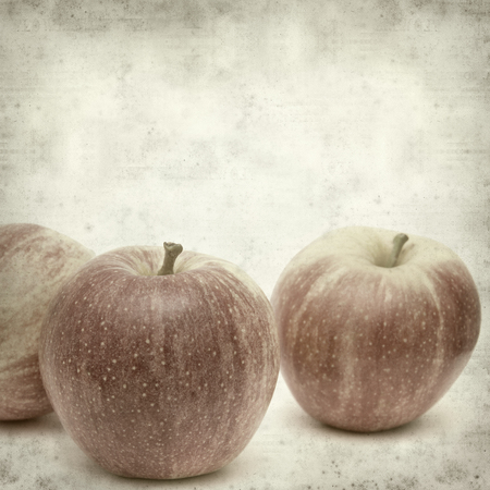 textured old paper background with applesの写真素材