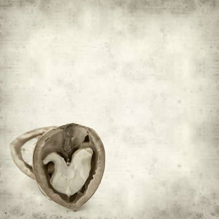 textured old paper background with freshly harvested walnuts