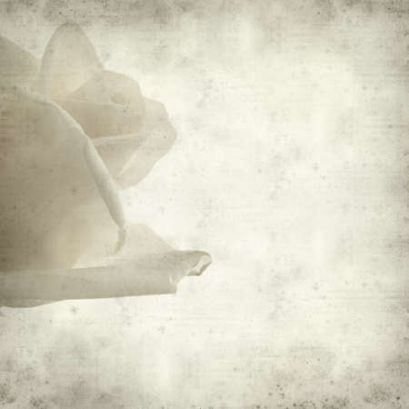 textured old paper background with gentle pink and yellow roseの写真素材