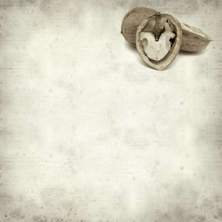 textured old paper background with freshly harvested walnuts