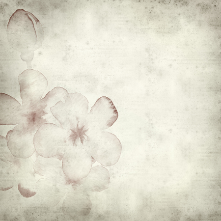 textured old paper background with waterolor almond blossomsの写真素材