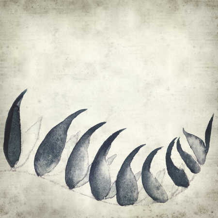 textured old paper background with watercolor paint fern leavesの写真素材