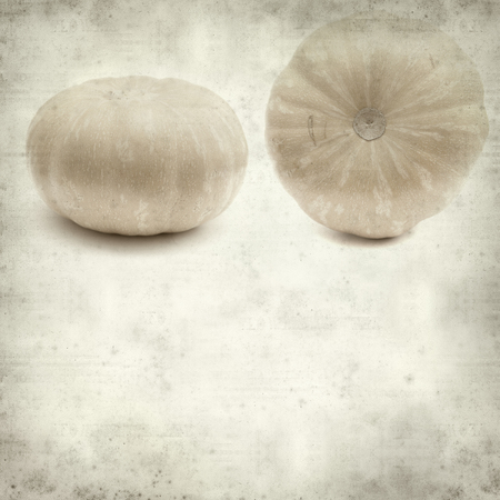 textured old paper background with round pumpkinの写真素材