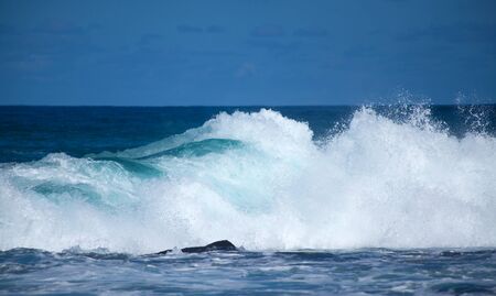 powerful ocean waves breaking by the coast of Gran Canaria, Banaderos - Quintanilla area