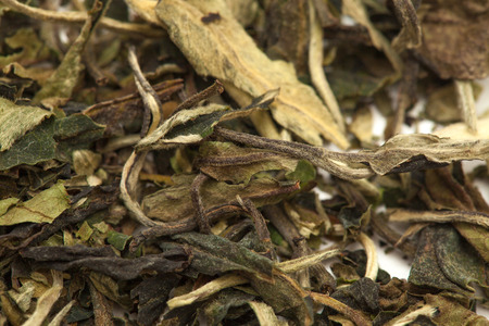 white tea  Pai Mu Tan leaves food stuff backgroundの写真素材