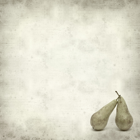 textured old paper background with conference pearの写真素材