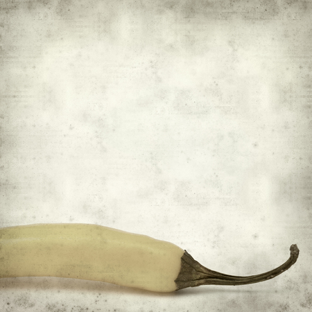 textured old paper background with yellow chilli pepperの写真素材