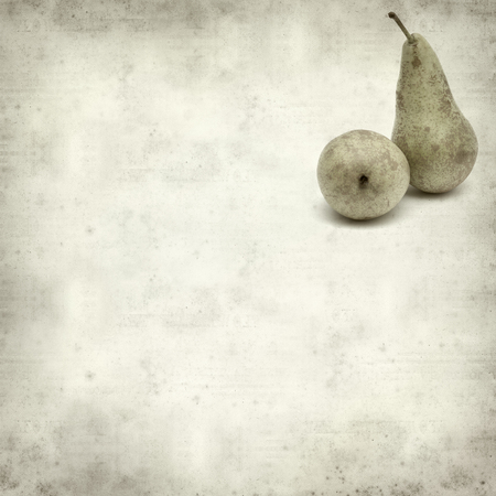 textured old paper background with conference pearの写真素材