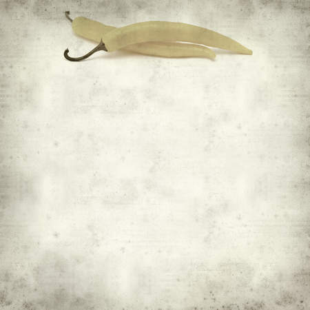 textured old paper background with yellow chilli pepperの写真素材