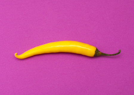 yellow  chili pepper on bright magenta backgroundの写真素材