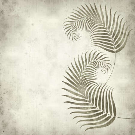 textured old paper background with fern leaves illustrationの写真素材