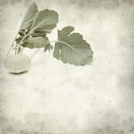 textured old paper background with Kohlrab cabbage