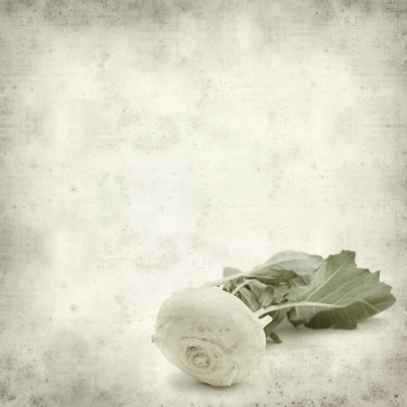 textured old paper background with Kohlrab cabbage
