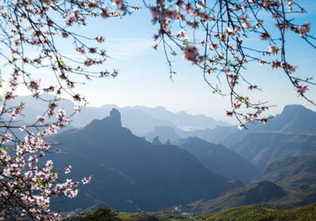 Inland Gran Canaria, Caldera de Tejeda in January, afternoon lightの写真素材