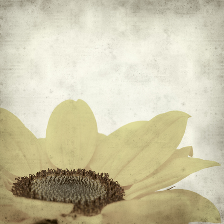 textured old paper background with yellow sunflowerの写真素材