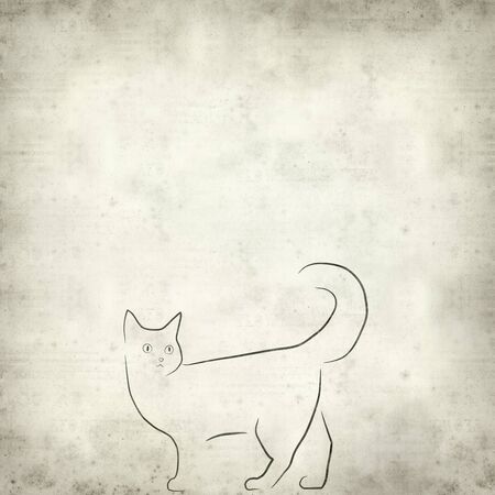 textured old paper background with simple cat illustrationの写真素材