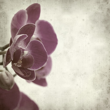 textured old paper background withの写真素材