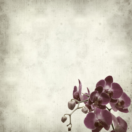 textured old paper background withの写真素材