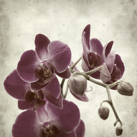 textured old paper background withの写真素材
