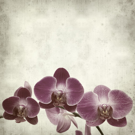 textured old paper background withの写真素材