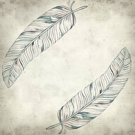 textured old paper background with watercolor feather paintingの写真素材
