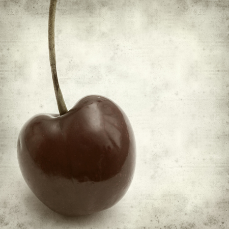 textured old paper background with dark red cherriesの写真素材