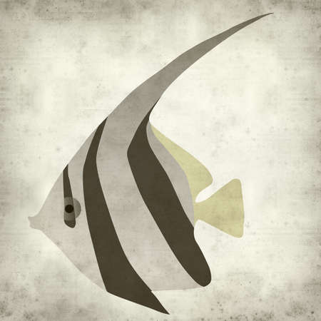 textured old paper background with angelfish illustration