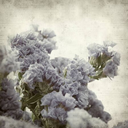 textured old paper background with blue statice flowersの写真素材