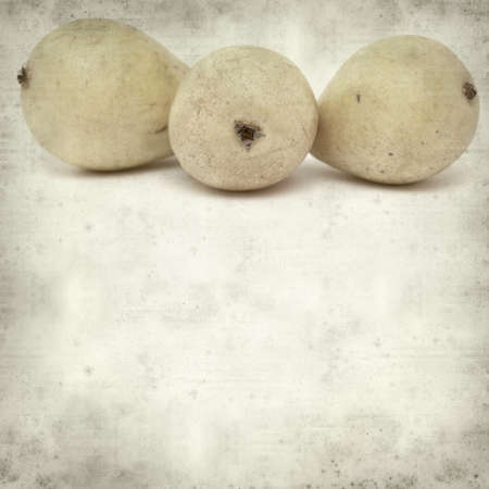 textured old paper background with  yellow pearsの写真素材