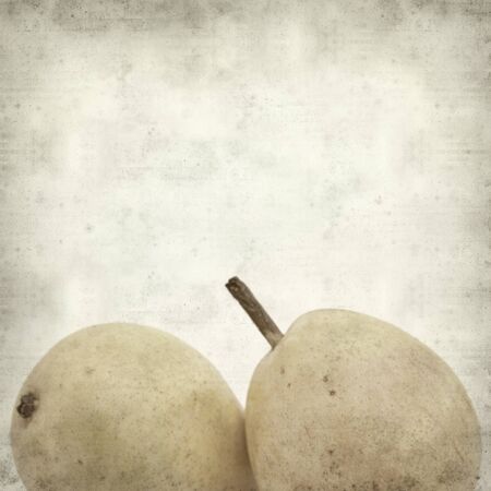 textured old paper background with  yellow pearsの写真素材