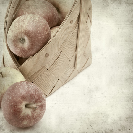 textured old paper background with red apples in a small birch bark basketの写真素材