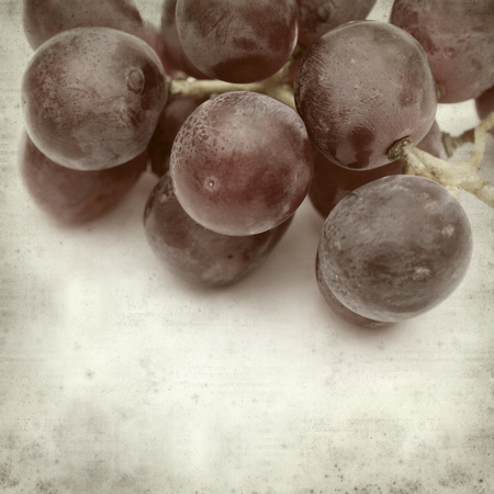 textured old paper background with fresh red grapes clustersの写真素材