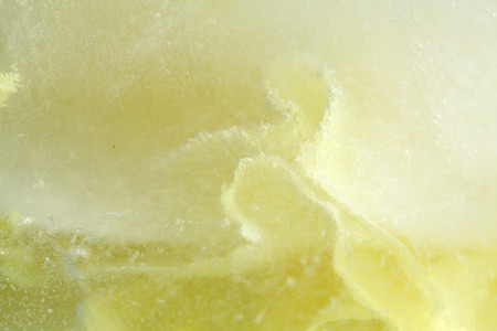 frozen flora - pale yellow carnation flower frozen into a block of ice, macro backgroundの写真素材