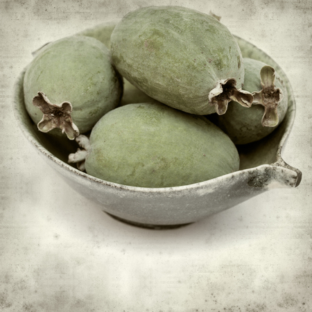 textured old paper background with green feijoa fruitの写真素材