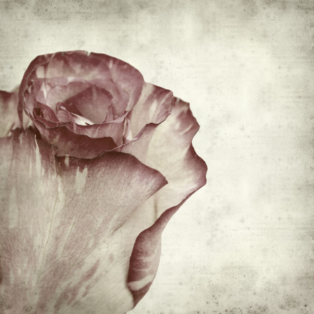 textured old paper background with unusual mottled roseの写真素材