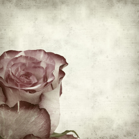 textured old paper background with unusual mottled roseの写真素材