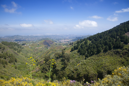 Central Gran Canaria in April, valley Vega de San Mateoの写真素材